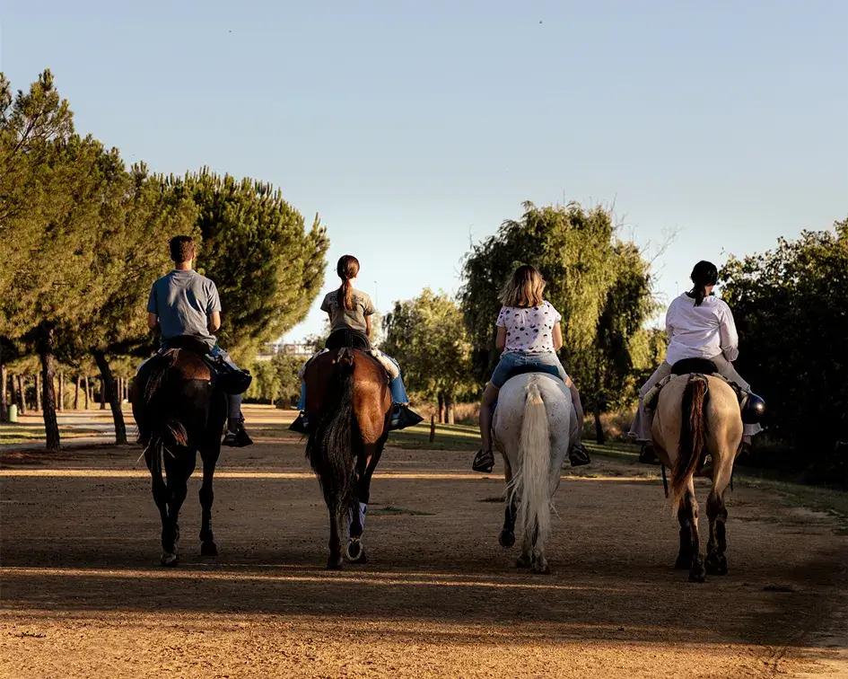 paseo a caballo en sevilla