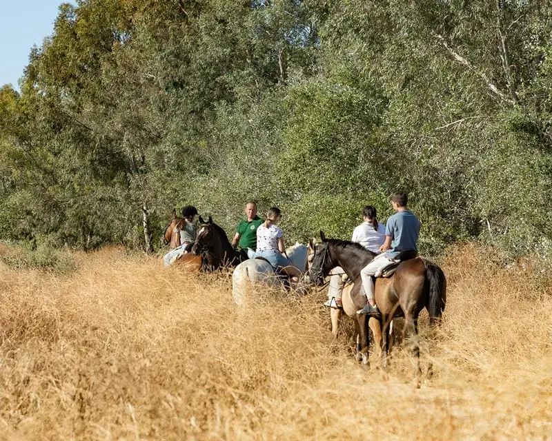 peregrinacion al rocio orillas del guadalquivir